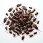 Fake Cockroach Pack (50 Pcs)
