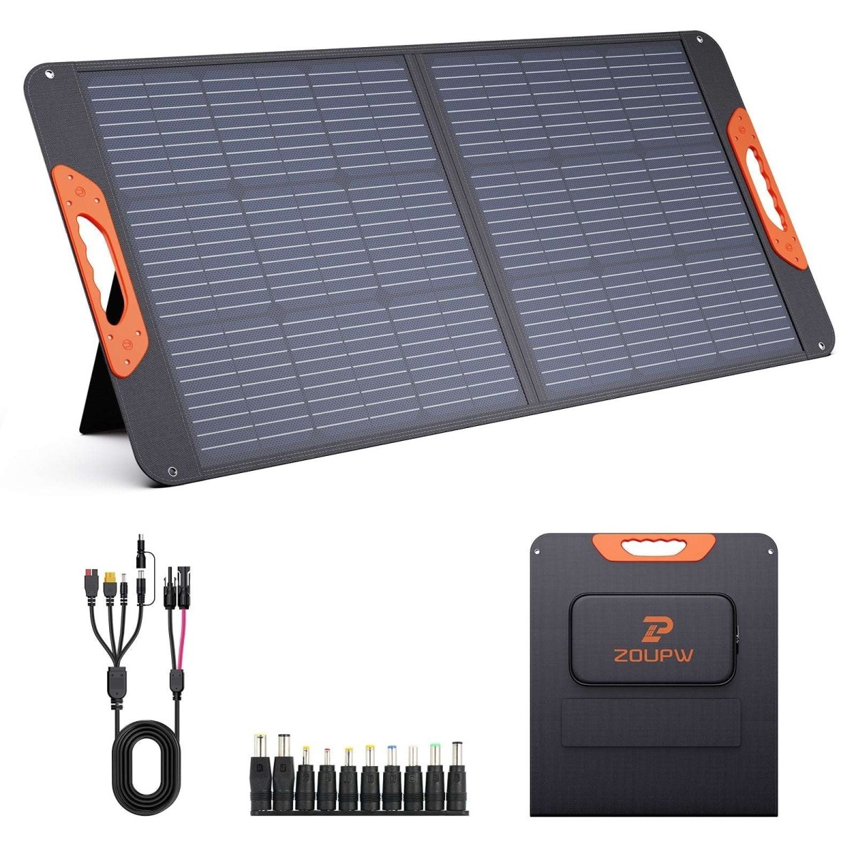 ZOUPW 100W Standard