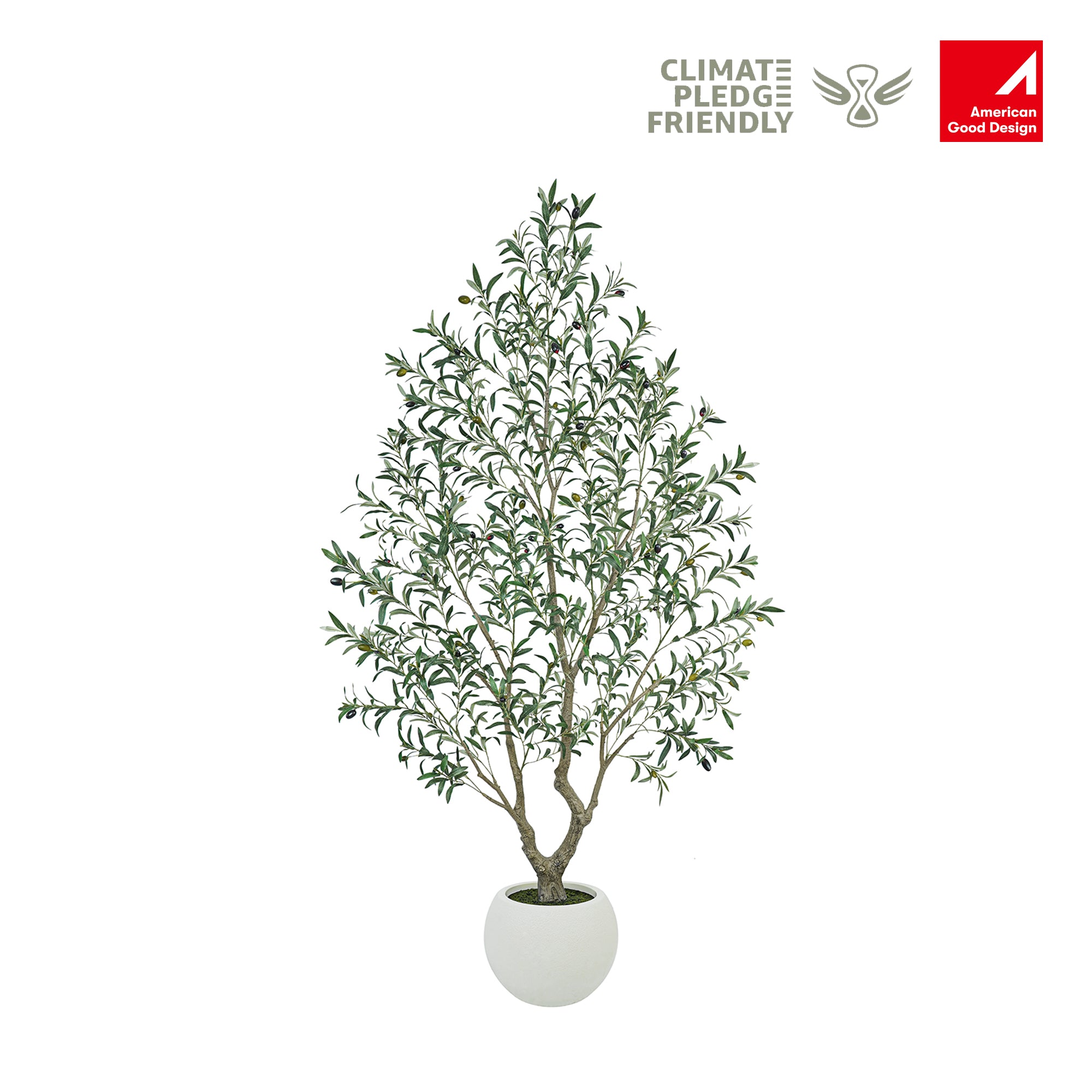 Vitalismo Artistic Olive Tree